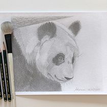 My project for course: Naturalistic Animal Drawing with Graphite Pencil. Ilustração tradicional, Desenho a lápis, Desenho e Ilustração naturalista projeto de Adrienn Körösi Hass Jensen - 20.02.2023