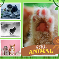 Reiki Animal. Un projet de Marketing, Cop, writing, Stor, telling, Marketing de contenu , et Communication de elipaoli - 20.02.2023