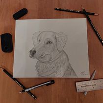 Mon projet du cours : Dessin naturaliste d'animaux au crayon graphite. Ilustração tradicional, Desenho a lápis, Desenho e Ilustração naturalista projeto de Maxime Alarie-Savard - 20.02.2023