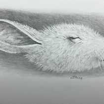 My project for course: Naturalistic Animal Drawing with Graphite Pencil. Ilustração tradicional, Desenho a lápis, Desenho e Ilustração naturalista projeto de Jacqueline Price - 21.02.2023