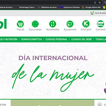 Mi proyecto del curso: Marketing de contenidos para redes sociales Ein Projekt aus dem Bereich Marketing, Digitales Marketing, Content-Marketing, Marketing für Facebook, YouTube Marketing und Marketing für Instagram von Carolina Saldaña - 21.02.2023