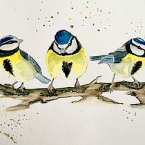 Mon projet du cours : Techniques artistiques d'aquarelle pour illustrer les oiseaux. Traditional illustration, Watercolor Painting, Realistic Drawing, and Naturalistic Illustration project by miss_egon - 02.22.2023