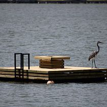 Proyecto final: Un toque pirata: Lago Rapel, Chile. . Un proyecto de Fotografía y Fotografía digital de alecarima - 19.02.2023
