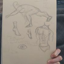 Meu projeto do curso: Desenho anatômico para principiantes Ein Projekt aus dem Bereich Bildende Künste, Skizzenentwurf, Bleistiftzeichnung, Zeichnung, Realistische Zeichnung und Anatomische Zeichnung von sophiapolzl - 22.02.2023