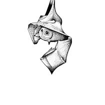 Mon projet du cours : Conception de tatouages Blackwork. Un projet de Illustration traditionnelle, Illustration numérique , et Conception de tatouage de cynthiacorneillie - 22.02.2023