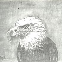 Mi proyecto del curso: Dibujo naturalista de animales con grafito. Ilustração tradicional, Desenho a lápis, Desenho e Ilustração naturalista projeto de Cesiah Gallegos González - 22.02.2023