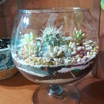Mi proyecto del curso: Arte vegetal: crea tu propio terrario abierto. Interior Design, L, scape Architecture, Decoration, DIY, Floral, and Plant Design project by Ana Amaya - 02.22.2023