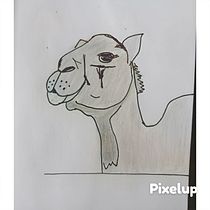 Mi proyecto del curso: Papelería ilustrada: guía para comercializar tu arte Ein Projekt aus dem Bereich Traditionelle Illustration, Designverwaltung, Zeichnung, Digitale Illustration, Realistische Zeichnung, Digitale Malerei, Br, ing und Identität, Kreative Beratung, Marketing, Portfolioverwaltung, Naturalistische Illustration, Markenstrategie, Management und Produktivität von Rossy Merino - 20.02.2023