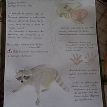 Meu projeto do curso: Ilustração científica de animais em aquarela. Traditional illustration, Watercolor Painting, Realistic Drawing, and Naturalistic Illustration project by nicole_08sg - 02.21.2023
