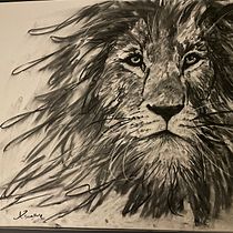 My project for course: Animal Illustration with Charcoal and Ink. Fine Arts, Drawing, Ink Illustration, and Naturalistic Illustration project by Ann - 02.24.2023