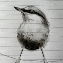 Mijn project van de cursus: Vogels illustreren met artistieke aquarel. Traditional illustration, Watercolor Painting, Realistic Drawing, and Naturalistic Illustration project by lindeboekhoudt - 02.24.2023