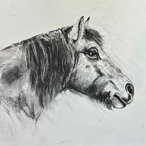 Mijn project van de cursus: Leer dieren illustreren met houtskool en inkt. Fine Arts, Drawing, Ink Illustration, and Naturalistic Illustration project by Mieke Kuenen - 02.24.2023