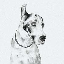 Mijn project van de cursus: Leer dieren illustreren met houtskool en inkt. Fine Arts, Drawing, Ink Illustration, and Naturalistic Illustration project by silentgirl - 02.25.2023