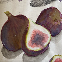 My project for course: Illustrating Nature: A Creative Exploration. Traditional illustration, Painting, Drawing, Watercolor Painting, Ink Illustration, and Naturalistic Illustration project by msdonsey - 02.26.2023
