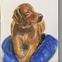 My project for course: Animal Illustration with Charcoal and Ink. Fine Arts, Drawing, Ink Illustration, and Naturalistic Illustration project by msdonsey - 03.09.2023