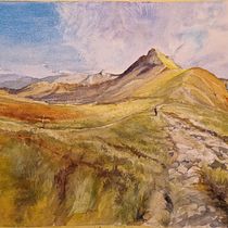 Il mio progetto del corso: Pittura di paesaggi realistici ad acquerello. Projekt z dziedziny  Sztuki piękne,  Malarstwo, Sketching, Malowanie akwarelą, Ilustracja naturalist i czna użytkownika Giovanni MEDUSEI - 26.02.2023