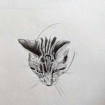 My project for course: Naturalistic Animal Drawing with Graphite Pencil. Ilustração tradicional, Desenho a lápis, Desenho e Ilustração naturalista projeto de najed - 27.02.2023