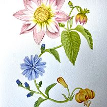 My project for course: Realistic Watercolor for Botanical Compositions. Un projet de Illustration traditionnelle, Peinture, Dessin, Aquarelle et Illustration botanique de Wendy van den Berg-Heyer - 28.02.2023
