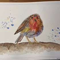 Mijn project van de cursus: Vogels illustreren met artistieke aquarel. Watercolor Painting, Naturalistic Illustration, Traditional illustration, and Realistic Drawing project by Sabina - 02.28.2023