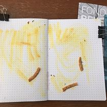 Mon projet du cours : Paysages : approche par le carnet de dessin et la couleur. Un progetto di Bozzetti, Creatività, Disegno a matita, Disegno e Sketchbook di Anne FEUERMANN - 01.03.2023