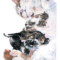 Mama cat and kittens. Een project van Traditionele illustratie, Aquarelschilderen, Realistische tekening y Naturalistische illustratie van Karin Harvey - 22.04.2023