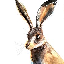 Mi proyecto del curso: Técnicas experimentales de acuarela para principiantes. Un progetto di Illustrazione tradizionale, Belle arti, Pittura ad acquerello e Illustrazione naturalistica di Marxela Cereseto - 01.03.2023