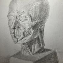 My project for course: Graphite Drawing Techniques for Planar Portraiture. Fine Arts, Sketching, Drawing, Portrait Drawing, Realistic Drawing, and Artistic Drawing project by artieandersen - 03.02.2023