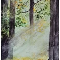Il mio progetto del corso: Paesaggi incantevoli ad acquerello: dipingi con la luce. Un projet de Peinture , et Aquarelle de ibruna - 02.03.2023