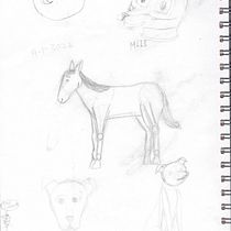 Mi proyecto del curso: Dibujo a lápiz de animales realistas para cuentos. Un progetto di Character design, Disegno a matita, Disegno e Illustrazione infantile di Sara Noemí Rojas - 02.03.2023