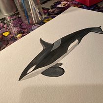 Mi proyecto del curso: Técnicas de ilustración naturalista: ballenas en acuarela. Un progetto di Belle arti, Pittura, Pittura ad acquerello e Illustrazione naturalistica di Jhoanna Neri - 02.03.2023