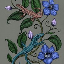Madeiran Lizards. Traditional illustration, Drawing, Digital Illustration, Realistic Drawing, Digital Painting, and Naturalistic Illustration project by Heidi Vilkman - 03.03.2023