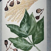 My project for course: Artistic Floral Watercolor: Connect with Nature. Ilustração tradicional, Pintura, Pintura em aquarela, Ilustração botânica, e Design projeto de Liz - 03.03.2023