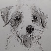 Mein Abschlussprojekt für den Kurs: Tiere zeichnen mit Kohle und Tusche. Fine Arts, Drawing, Ink Illustration, and Naturalistic Illustration project by Katrin Dübbers - 03.05.2023