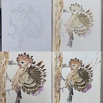 Abubilla, Hoopoe. . Ilustração tradicional, Pintura em aquarela, Desenho realista e Ilustração naturalista projeto de Carol Pinango - 07.03.2023