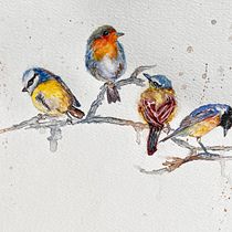 My project for course: Artistic Watercolor Techniques for Illustrating Birds. Traditional illustration, Realistic Drawing, and Naturalistic Illustration project by jborrelli99 - 03.08.2023