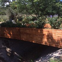 Il mio progetto del corso: Design di spazi verdi per la tua casa. L, scape Architecture, Floral, and Plant Design project by natyfry - 03.08.2023