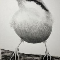 My project for course: Artistic Watercolor Techniques for Illustrating Birds. Traditional illustration, Watercolor Painting, Realistic Drawing, and Naturalistic Illustration project by monikabartalis - 03.09.2023