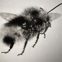 My project for course: Illustrating the Natural World with Watercolor and Charcoal. Traditional illustration, Painting, and Naturalistic Illustration project by monikabartalis - 03.09.2023