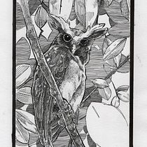 Meu projeto do curso: Ilustração com tinta e bico de pena: registre o mundo natural. Sketching, Drawing, Artistic Drawing, Sketchbook, Ink Illustration, and Naturalistic Illustration project by Luccas Nascimento - 03.07.2023