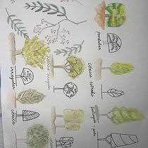 Mi proyecto del curso: Cuaderno botánico en acuarela. Projekt z dziedziny Trad, c, jna ilustracja, Malowanie akwarelą, R, sunek botaniczn i Sketchbook użytkownika Heidi De Luna - 10.03.2023