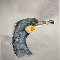 My project for course: Naturalist Bird Illustration with Watercolors. Ilustração tradicional, Pintura em aquarela, Desenho realista e Ilustração naturalista projeto de Jan Wilman - 10.03.2023