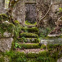 The House With All the Vines. Writing, Stor, telling, Narrative, Fiction Writing, and Creative Writing project by Nicole Piccolo - 03.10.2023
