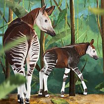 Mój projekt z kursu: Ilustracja dzikiej przyrody w książkach dla dzieci. Un progetto di Illustrazione vettoriale, Illustrazione digitale e Illustrazione infantile di Beata Konopka-Kruć - 12.03.2023