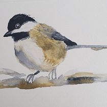 My project for course: Artistic Watercolor Techniques for Illustrating Birds. Projekt z dziedziny Trad, c, jna ilustracja, Malowanie akwarelą, R, sunek realist, czn, Ilustracja naturalist i czna użytkownika shristee - 12.03.2023