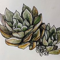 Mi proyecto del curso: Sketchbook botánico: una aproximación meditativa. Ilustração tradicional, Esboçado, Desenho, Pintura em aquarela, Ilustração botânica, e Sketchbook projeto de Pia Rossi - 13.03.2023
