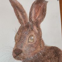 Mi proyecto del curso: Técnicas experimentales de acuarela para principiantes. Un progetto di Illustrazione tradizionale, Belle arti, Pittura ad acquerello e Illustrazione naturalistica di Meritxell Soria - 14.03.2023