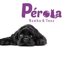 PROJETO FINAL: PÉROLA. Un projet de Design , Br, ing et identité, Design graphique , et Création de logos de Gabriel de Jesus Gonçalves - 13.03.2023