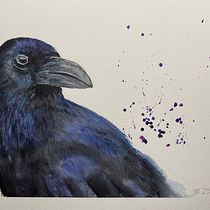 My project for course: Expressive Animal Portraits in Watercolor Crow. Un progetto di Illustrazione tradizionale, Pittura ad acquerello, Disegno realistico e Illustrazione naturalistica di ableitung_misc - 15.03.2023