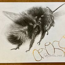 A Bumblebee in Charcoal . Naturalistic Illustration project by Patty - 03.15.2023