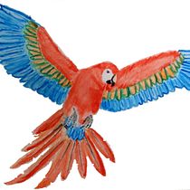 Mi proyecto del curso: Ilustración naturalista de aves con acuarela. Ilustração tradicional, Pintura em aquarela, Desenho realista e Ilustração naturalista projeto de Juan José Aguillón - 07.03.2023